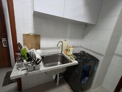 Parc Oasis (D22), Condominium #548104461